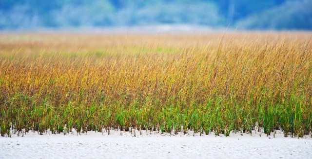 Big Talbot State Park Beach 2