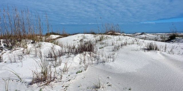 Big Talbot State Park Beach Sand Dune