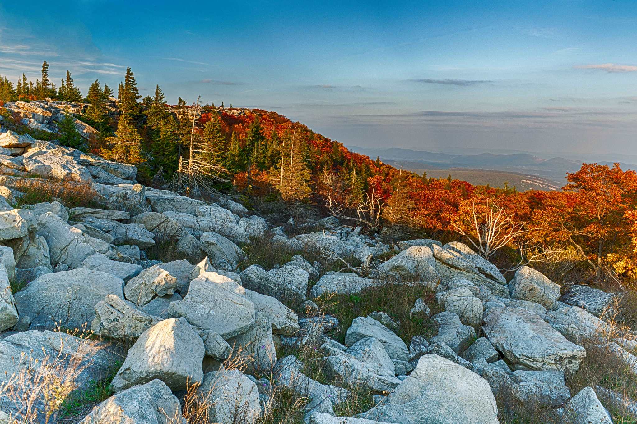 Canaan Valley, West Virginia | Stephen L Tabone Nature Photography