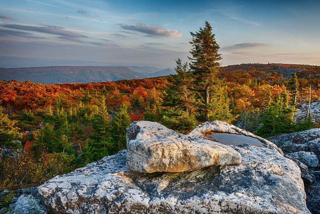 Canaan Valley, West Virginia | Stephen L Tabone Nature Photography
