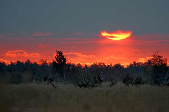 Sunrise-at-Prime-Hook-NWR