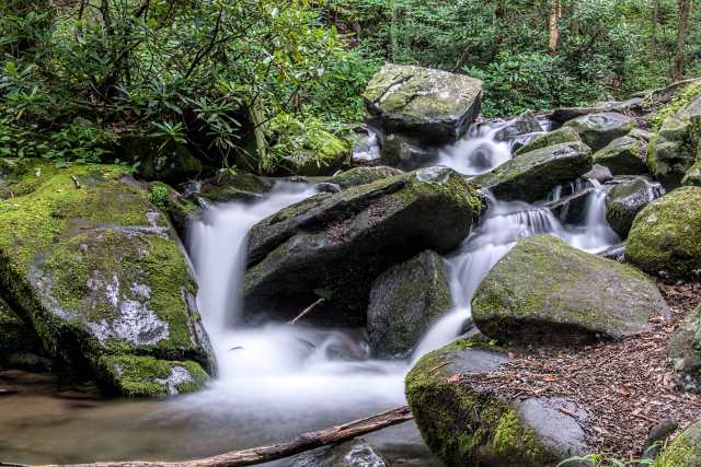 Roaring-Fork-Nature-Trail-2