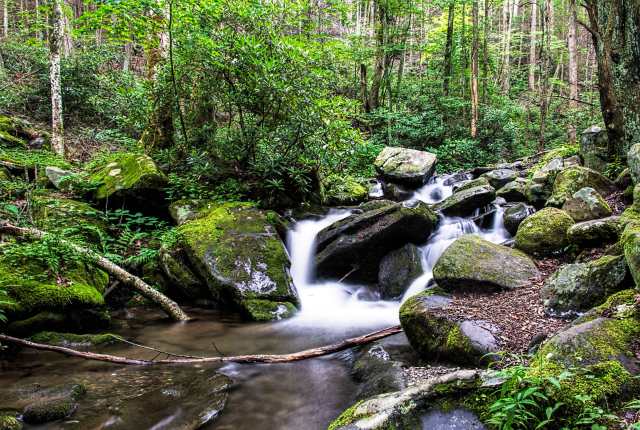 Roaring-Fork-Nature-Trail