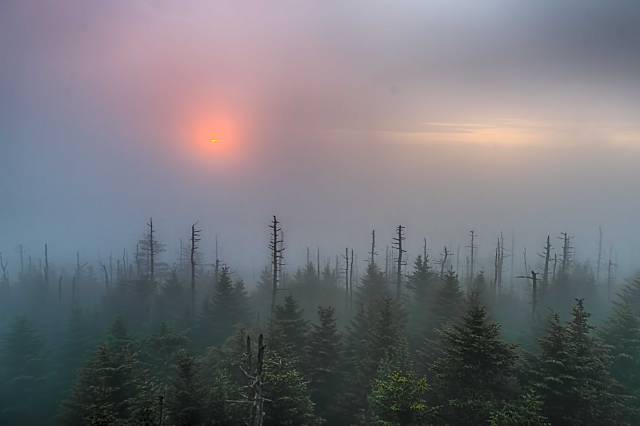 Sunrise-on-Clingmans-Dome-3