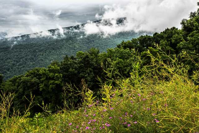 Cloudy-Day-in-Shenandoah-Mountains-2