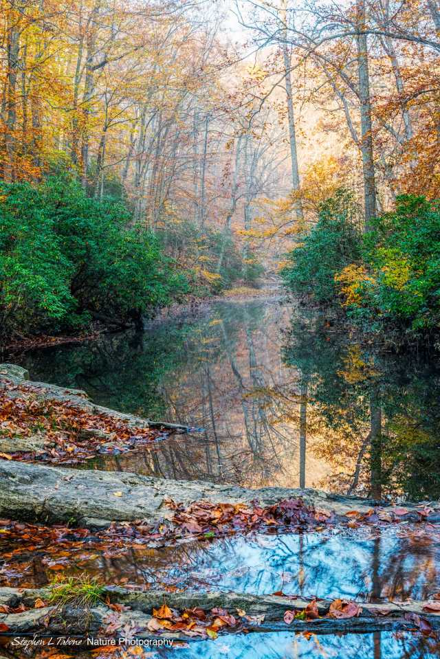 Early-Morning-Fog-Quantico-Creek-Prince-William-Forest