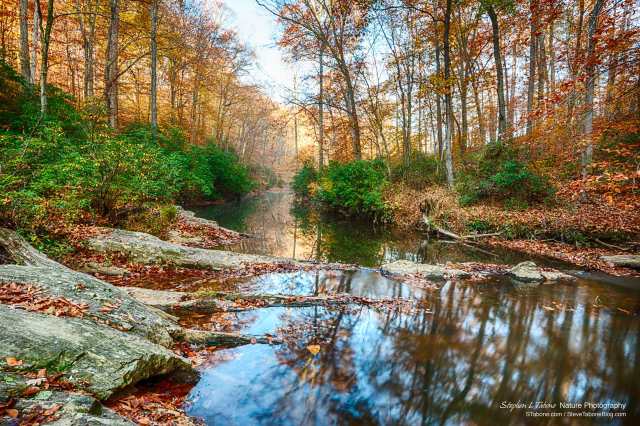 Quantico-Creek-Prince-William-Forest-2