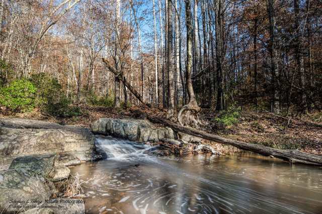 Quantico-Creek-Prince-William-Forest-4-sec