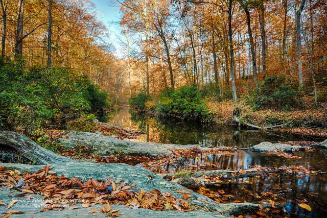 Quantico-Creek-Prince-William-Forest-fW