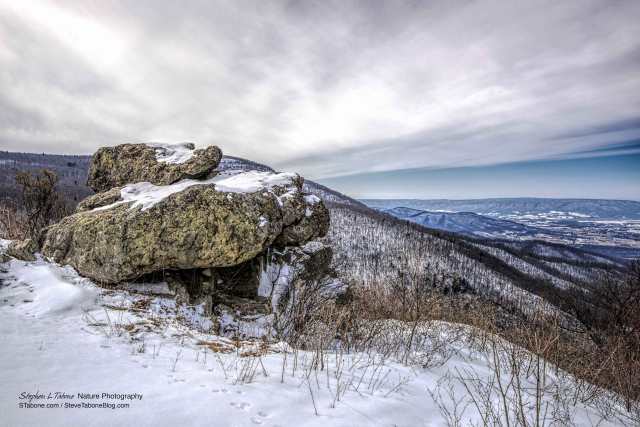 Cold-Winter-Overcast-Morning-in-the-Shenandoah-National-Park