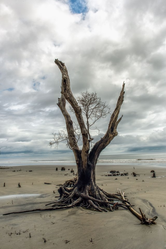 Boneyard-Bulls-Island-pt