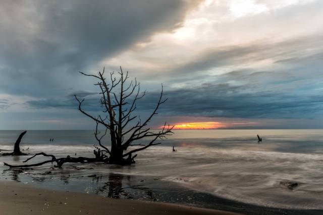 Bulls-Isalnd-Sunrise-2a