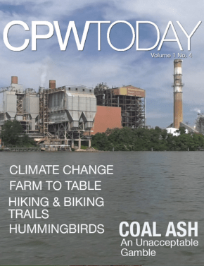 screen-shot-2016-11-01-at-7-41-10-pm